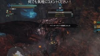 【MHW】ランスで歴戦王ヴァルハザク倒すぞ～！