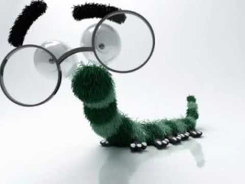 Mr Mjuzik & Kritaczi   Dżdżownica  nie umieraj, nie umieraj, nie umieraaaj dżdżownico