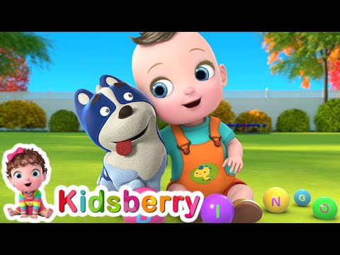 Bingo | Bingo Dog Song + More Nursery Rhymes & Baby Songs - Kidsberry