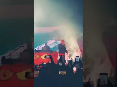 Craneo y Robot95 - 100k pies Live Foro Alarcón CDMX 2024 👹🥕