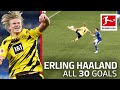 Erling Haaland - 30 Goals Now in Only 32 Games