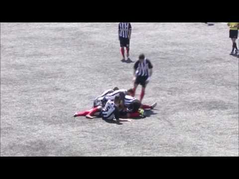 DARKO GROZDANOSKI KOBRA GOLOVI