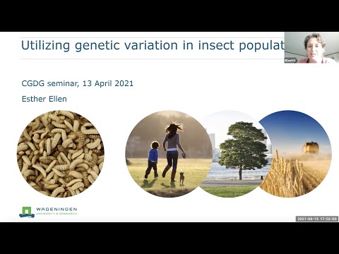 Esther Ellen: Utilizing genetic variation in insect populations