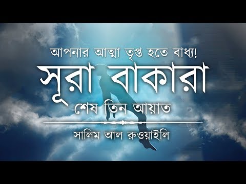 💖 আপনার অন্তর তৃপ্ত হতে বাধ্য┇ সূরা বাকারার শেষ তিন আয়াত┇Recited By Salem Ruwaili ┇An Nafee┇আন নাফী