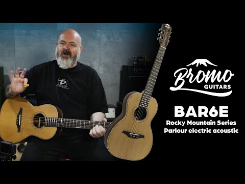 Bromo BAR 6 E SOLID TOP PARLOR SIZE ACOUSTIC GUITAR image 17