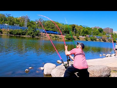 BANK Fishing for DAY Time Flathead Catfish!! (Don't do This)