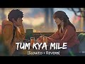 Tum Kya Mile (Slowed + Reverb) • Rocky Aur Rani Kii Prem Kahaani • Gravero • Mrittika Niketan