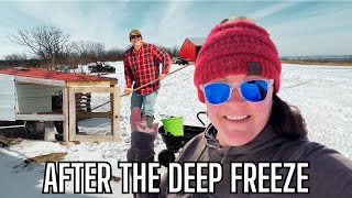 Farm Chores After the Deep Freeze | Cleaning Ultimate Brooders & Winter Recovery