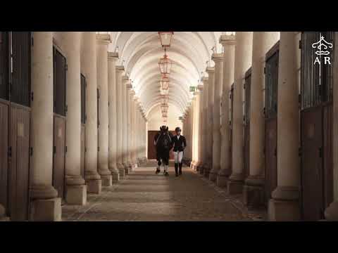 25 Coudelaria de Alter