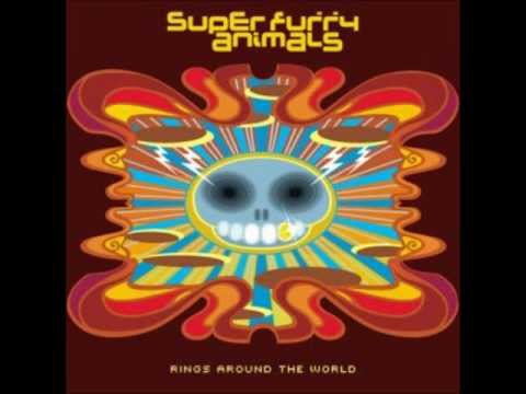 Edam Anchorman Super Furry Animals
