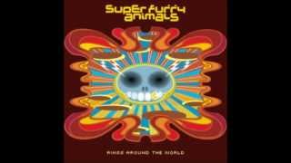 Edam Anchorman Super Furry Animals