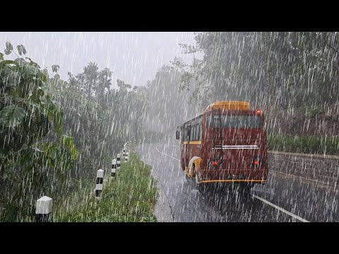 WALK IN THE POWERFULL OF HEAVY RAIN IN MY RURAL VILLAGE LIFE INDONESIA