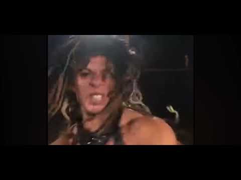 Female Muscle Clips 28 - Lexx