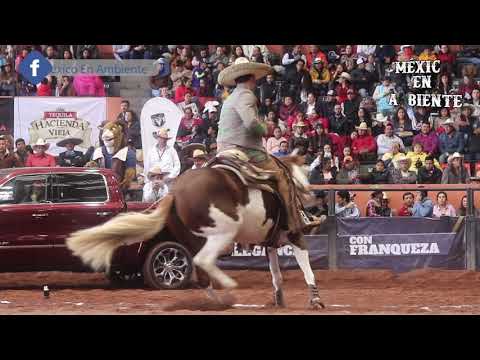 EXCELENCIA CHARRA 2019 FINAL CALA LORENZO RIOS "LAS CUATAS