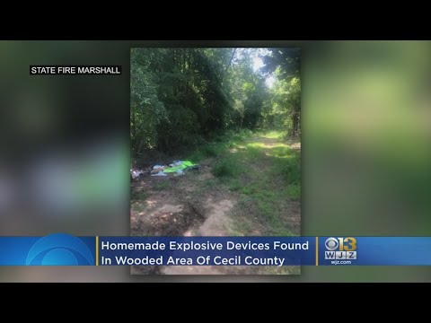 Homemade Explosive Devices Found In Wooded Area Of Cecil County