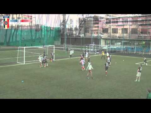 AFL - France - Ligue 1. Tour 6. Nancy-Lorraine - Olympique Lyonnais