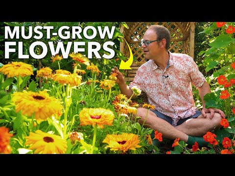 Tomato Growing Masterclass My Blueprint to Success Every Time