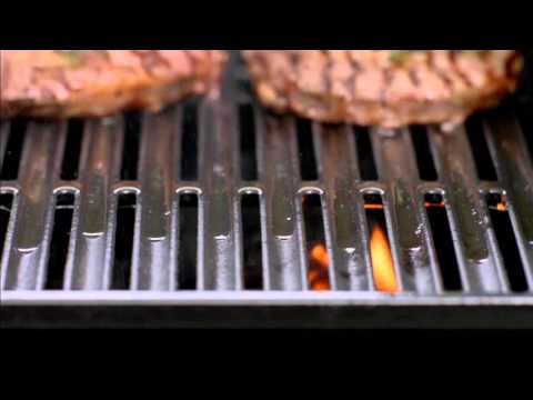 Best BBQ Grills & Hot Plates - Matador BBQ's