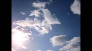 Brainwaltzera - [take1]