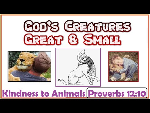 Kindness to Animals | Proverbs 12 | Treasuring God’s Creation | Dr. Matthew Webster | Words of Grace