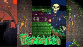 【Terraria】テスト配信！ダンジョンいくよ～