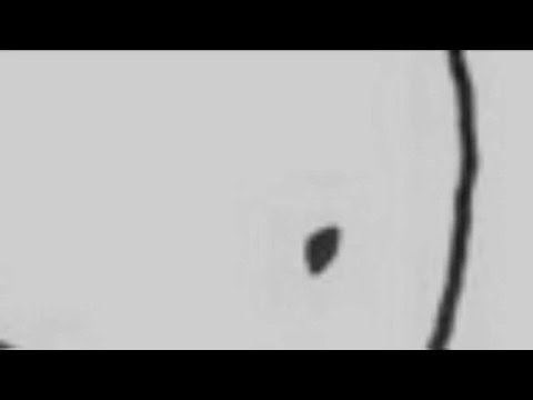 Little Gain - The Heligoats