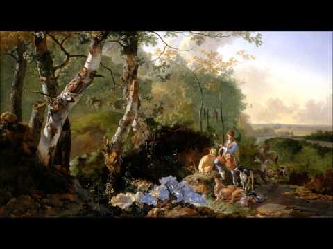 G. F. Händel: Opera Rinaldo Aria - Lascia ch'io Pianga HWV7 (fantastic performance)