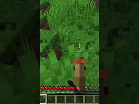 Playing Minecraft With A Flying Broom #shorts
