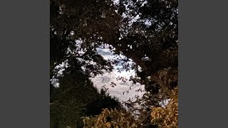 GTA (The High Table &amp; 911)