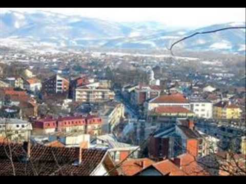 VESELIN VESA PAULJESKOVIC - PINTRU VIJACA FRUMOSA.