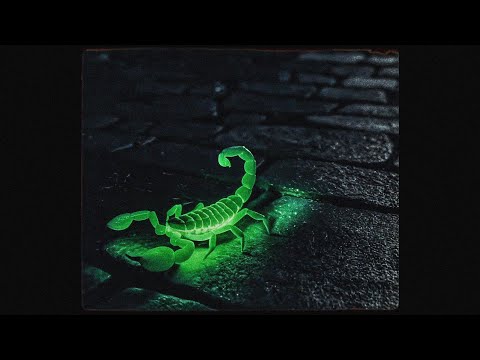 DON TOLIVER TYPE BEAT X FUTURE - CUSTOM MADE