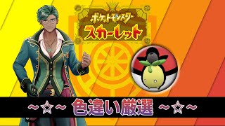 【ポケモンSV】色違いミニーブ厳選  -✧- 生放送 -✧-