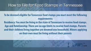 How to File for Food Stamps Tennessee