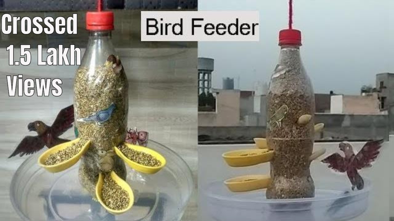 How To Make A Bird Feeder Diy Homemade Plastic Bottle Bird