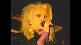 MW Bogarts Dear Familiar Phantoms