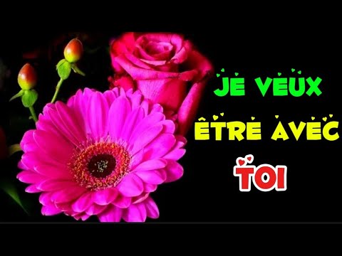 Je veux être avec toi, loin du monde, savourer chaque instant... message d'amour