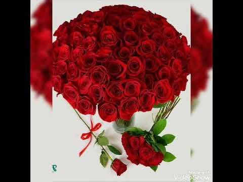 The beauty of nature