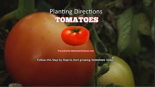 Tomatoes Planting and Growing Instructions (STEP By STEP)