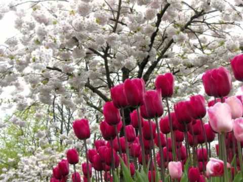 Jorge Martinho   Mais palavras de amor