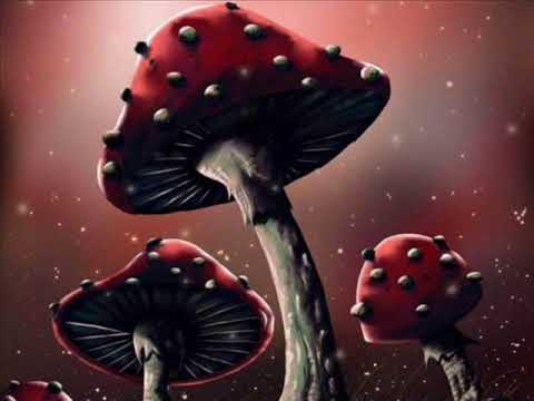 download lagu mp3 mp4 Download Best Beatport Techno 2009 MuSi Mp3, download lagu Download Best Beatport Techno 2009 MuSi Mp3 gratis, unduh video klip Download Best Beatport Techno 2009 MuSi Mp3