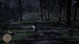 RDR２　１１　アプデ前ブラブラ