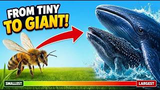From Tiny to Giant! π Animal Size Comparison for Kids π Smallest to Largest Animals