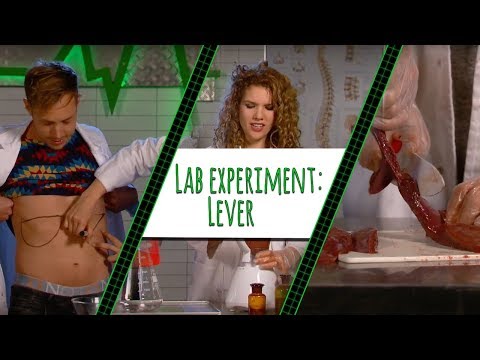 EEN LEVER IN DE BLENDER?! - LAB EXPERIMENT