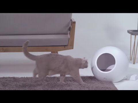 Smart cat house warmer cooler adjusting petkit