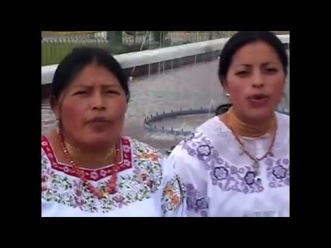 CAYAMBIS PECHITO CORAZON