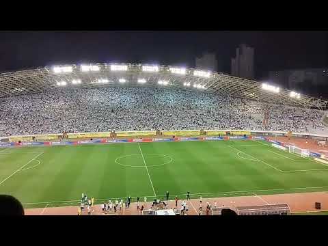 Poljud: Kada umrem umotan u bilo