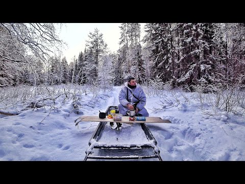 Как я ездил на зимнюю охоту на мотособаке Ураган толкач/ я снова нашел тетеревов/зимний отдых в лесу