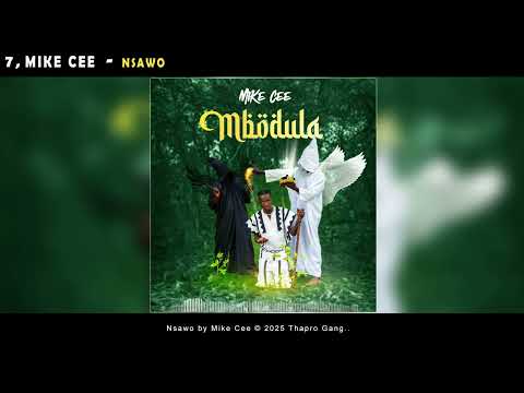 MIKE CEE - NSAWO (Official Audio)