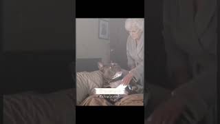 Download lagu Dilrang main hp nanti kena ukti 😂😂 #funny #trending #comedy mp3 Download lagu Dilrang main hp nanti kena ukti 😂😂 #funny #trending #comedy mp3
