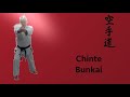 Chinte Bunkai